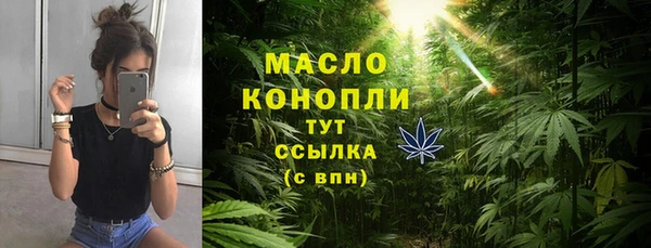 молекула духа Медвежьегорск