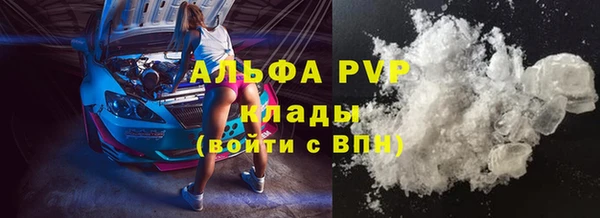 молекула духа Медвежьегорск