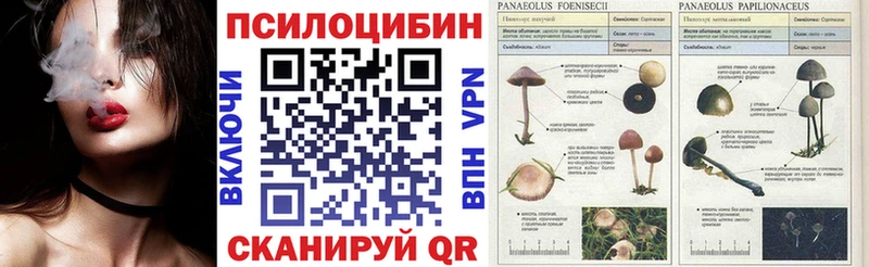 Галлюциногенные грибы Psilocybe Полевской