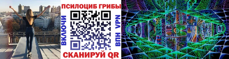 как найти закладки blacksprut ONION Псилоцибиновые грибы прущие грибы Полевской