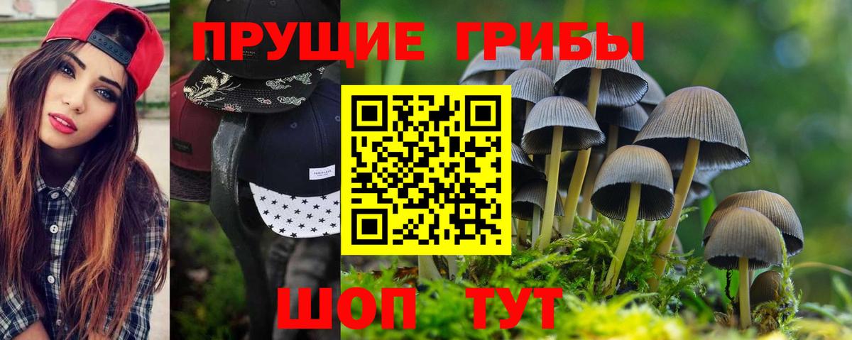 Псилоцибиновые грибы мухоморы  как найти закладки  Полевской  Вход с VPN 
