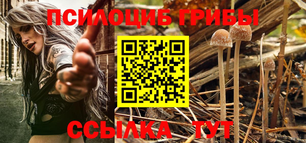Галлюциногенные грибы мицелий Полевской
