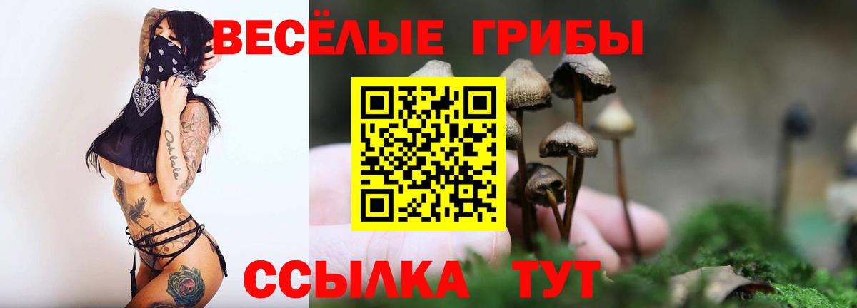 цены   Полевской  Псилоцибиновые грибы мицелий 